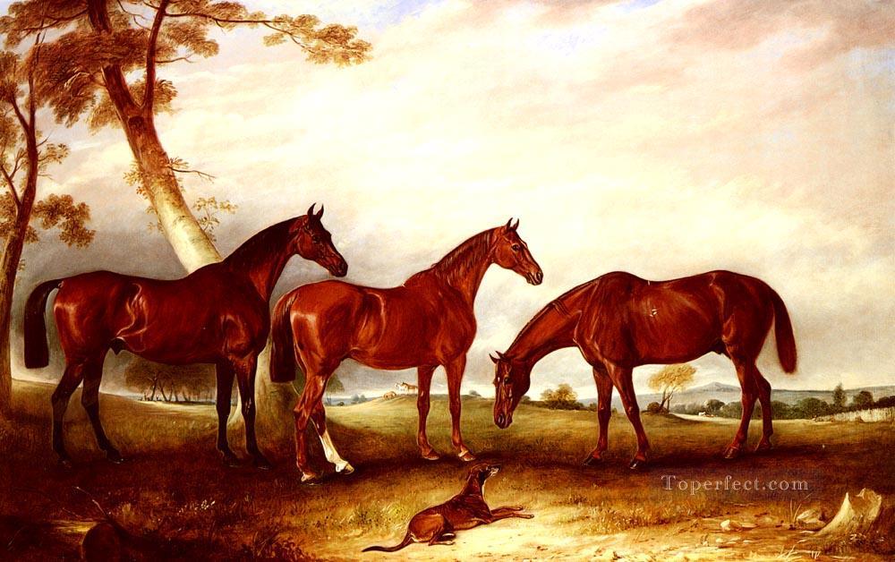 Marvel Kingfisher And The Lad horse John Ferneley Snr Oil Paintings